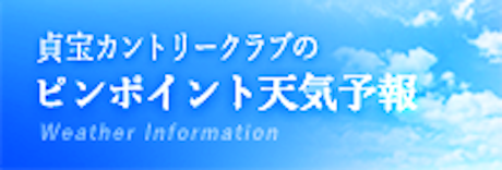 ピンポイント天気予報